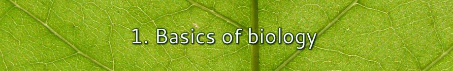 Basics of biology
